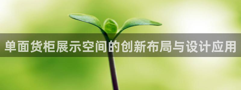 杏运体育娱乐：单面货柜展示空间的创新布局