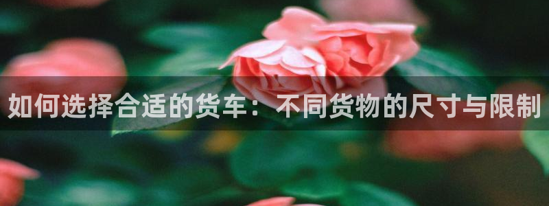 杏运体育app下载安装手机版