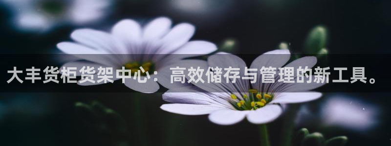 杏运平台招商