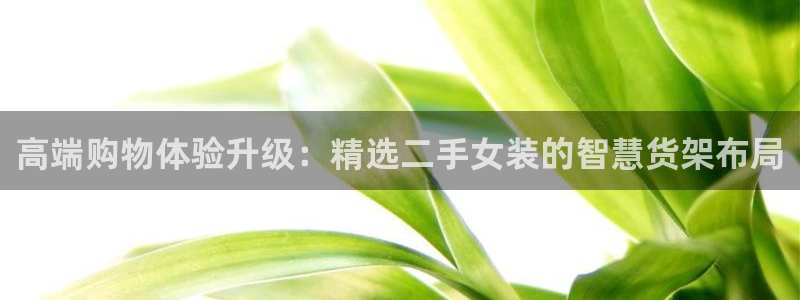 杏运相伴