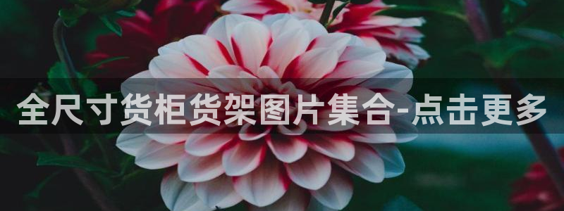 杏运注册