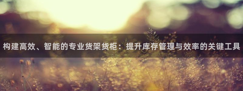 杏运平台官方网站：构建高效、智能的专业货