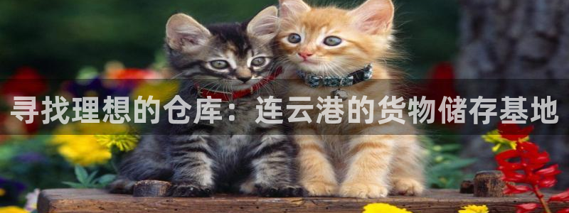 杏运娱乐平台注册地址