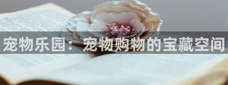杏运娱乐怎么样