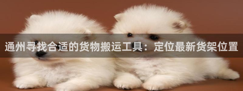杏运体育网