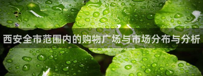 杏运代理