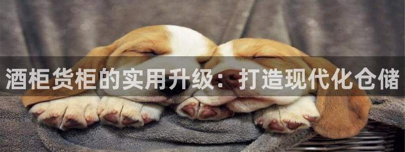 杏运体育怎么样