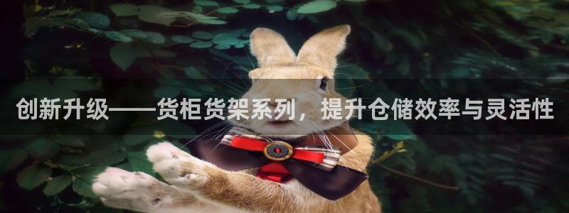 杏运注册登录：创新升级——货柜货架系列，