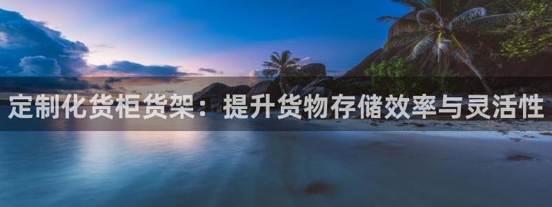 杏运新能源：定制化货柜货架：提升货物存储