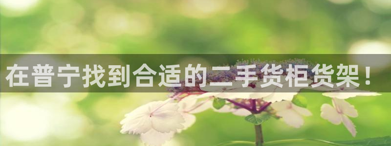 杏运体育app下载安装手机版