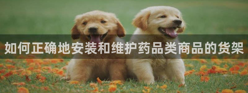 杏运平台招商：如何正确地安装和维护药品类