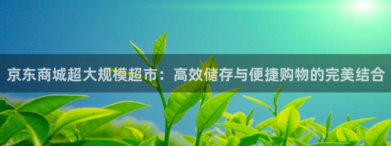 杏运汽车招商：京东商城超大规模超市：高效