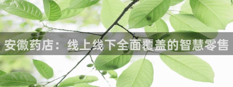杏运体育app下载安装手机版：安徽药店：