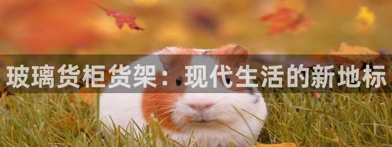 杏运娱乐平台注册地址