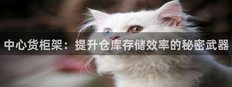 杏运体育app下载安装