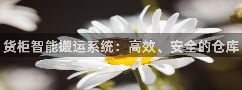 杏运娱乐怎么样