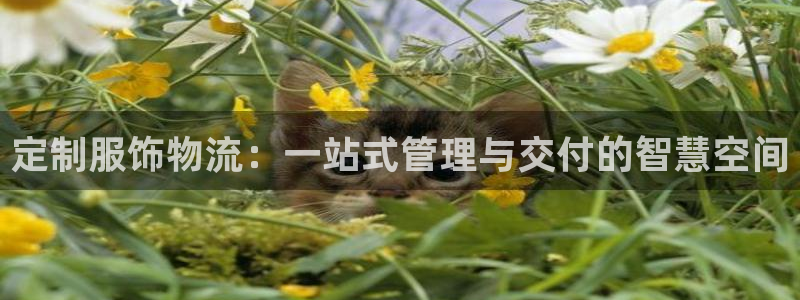 杏运体育app下载安装