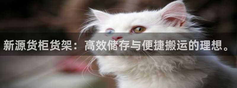 杏运体育官网：新源货柜货架：高效储存与便
