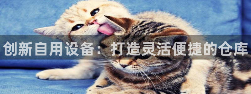 杏运体育不给出款