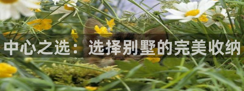 杏运体育app下载安装手机版