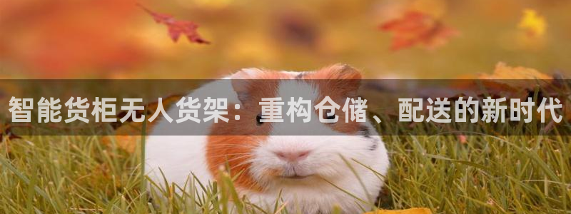 杏运体育app下载安装手机版