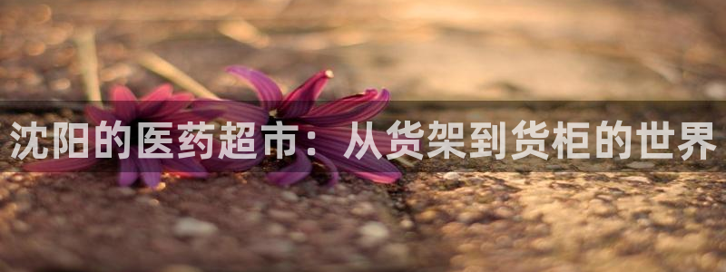 杏运平台注册登录