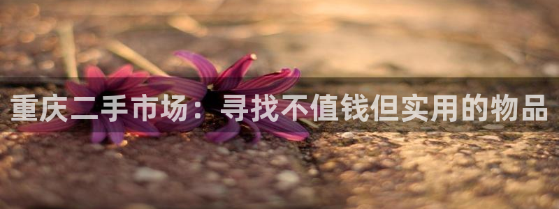 杏运体育app下载安装手机版