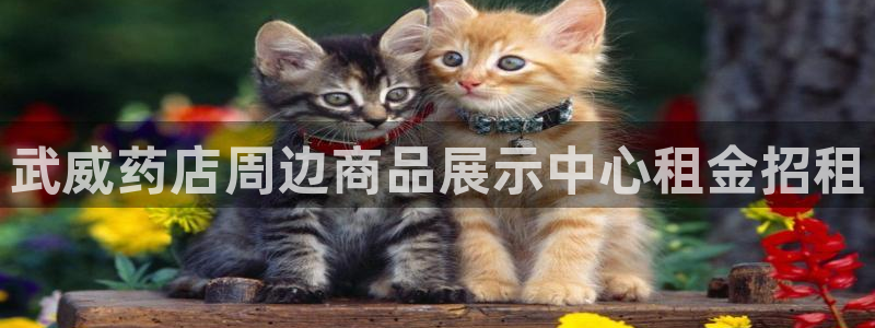 杏运体育不给出款